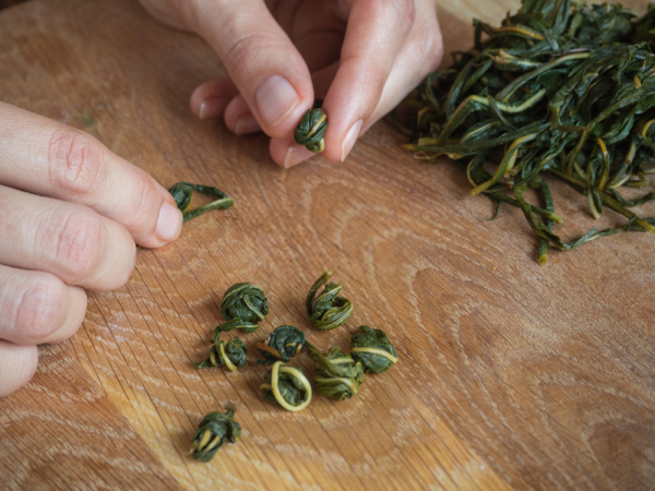 Tea production from leaf to cup 9 Manual tea production