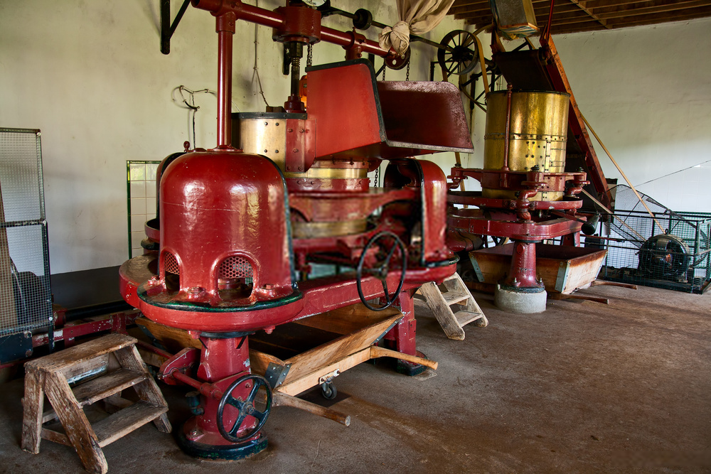 Tea production from leaf to cup 7 Tea production from leaf to cup - Tea production machine